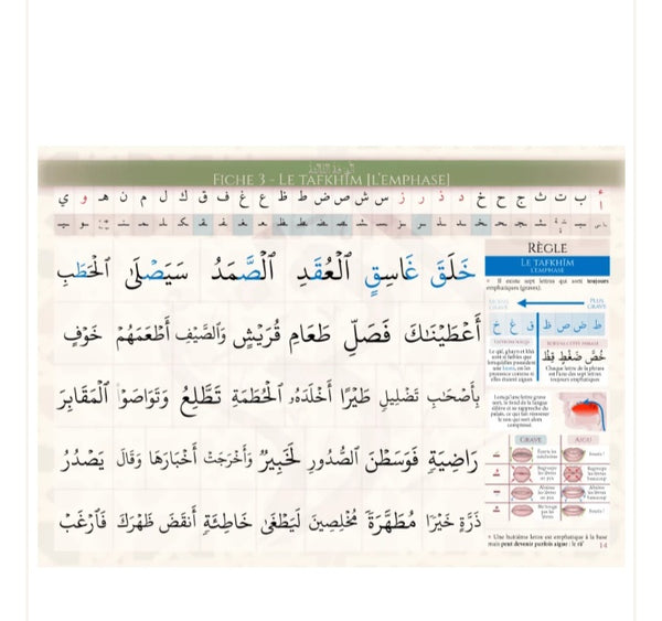 Tadrib al-Qari - Initiation au tajwid